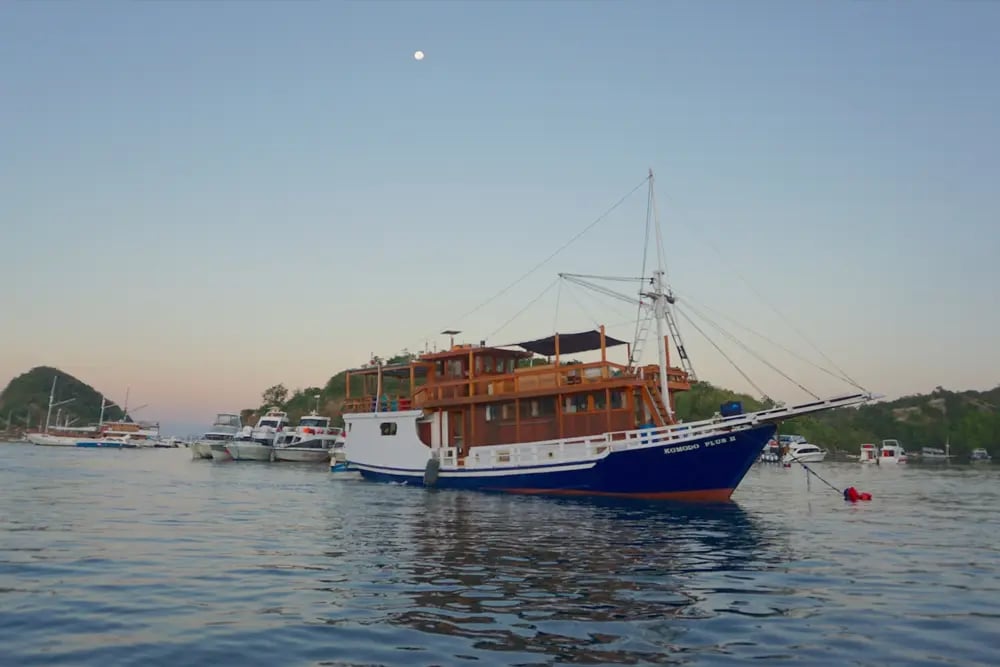 NusaTara is a small wooden schooner operating in Indonesia, designed for private charter use for families or small groups. With three cabins on board, the vessel offers a compact and strai...