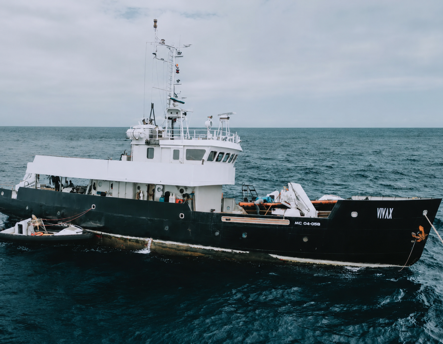 Vivax is a Colombian-flagged diving support vessel built in 1991 and renewed in 2024. Operating as a diesel-powered special services vessel, the boat gives divers access to Malpelo Island,...