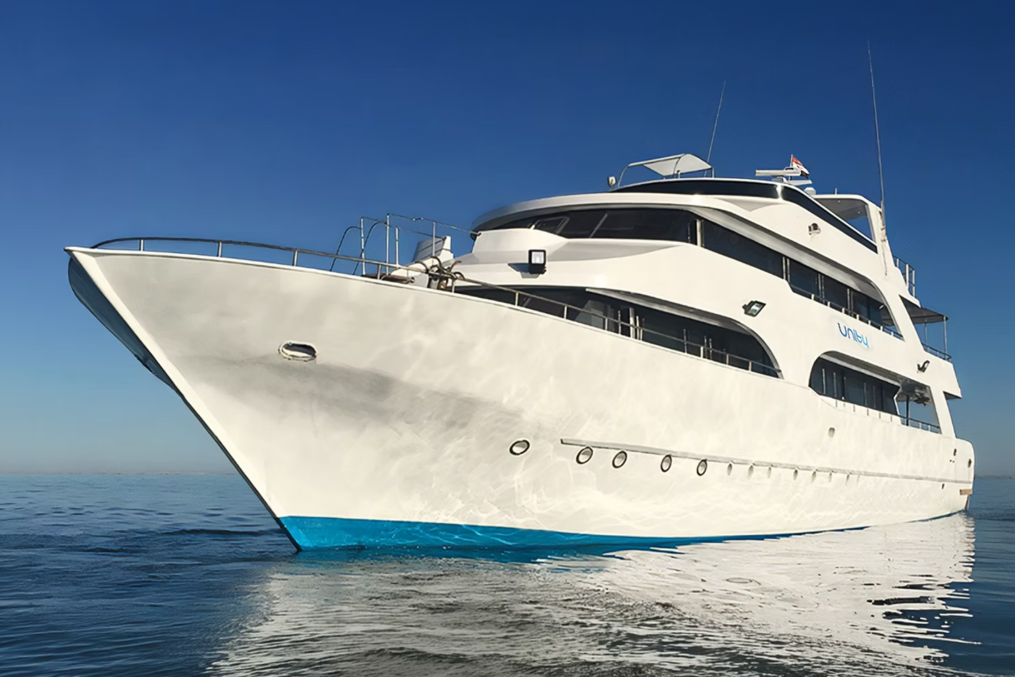 Unity liveaboard is a Red Sea diving boat designed around convenience, comfort, space, light, and diving. Originally built in 1998, with a full refurbishment and hull rebuild completed in ...