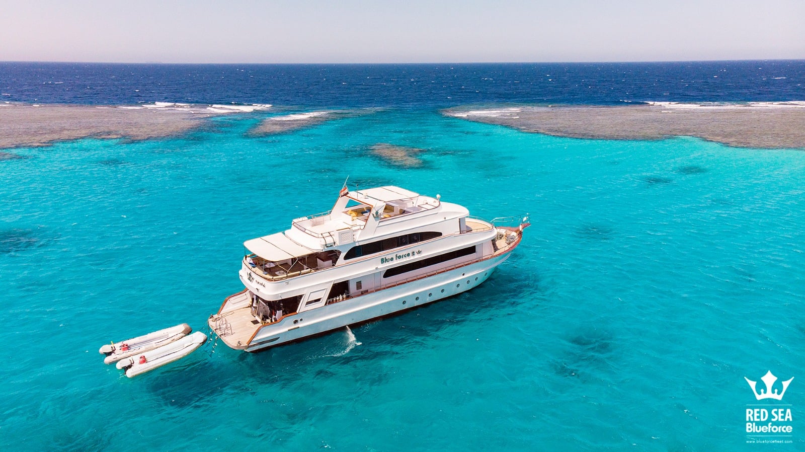 Red Sea Blue Force 2 sails classic northern and southern routes in Egypt, diving the Thistlegorm wreck, Daedalus Reef, and coral-covered drop-offs full of pelagic life