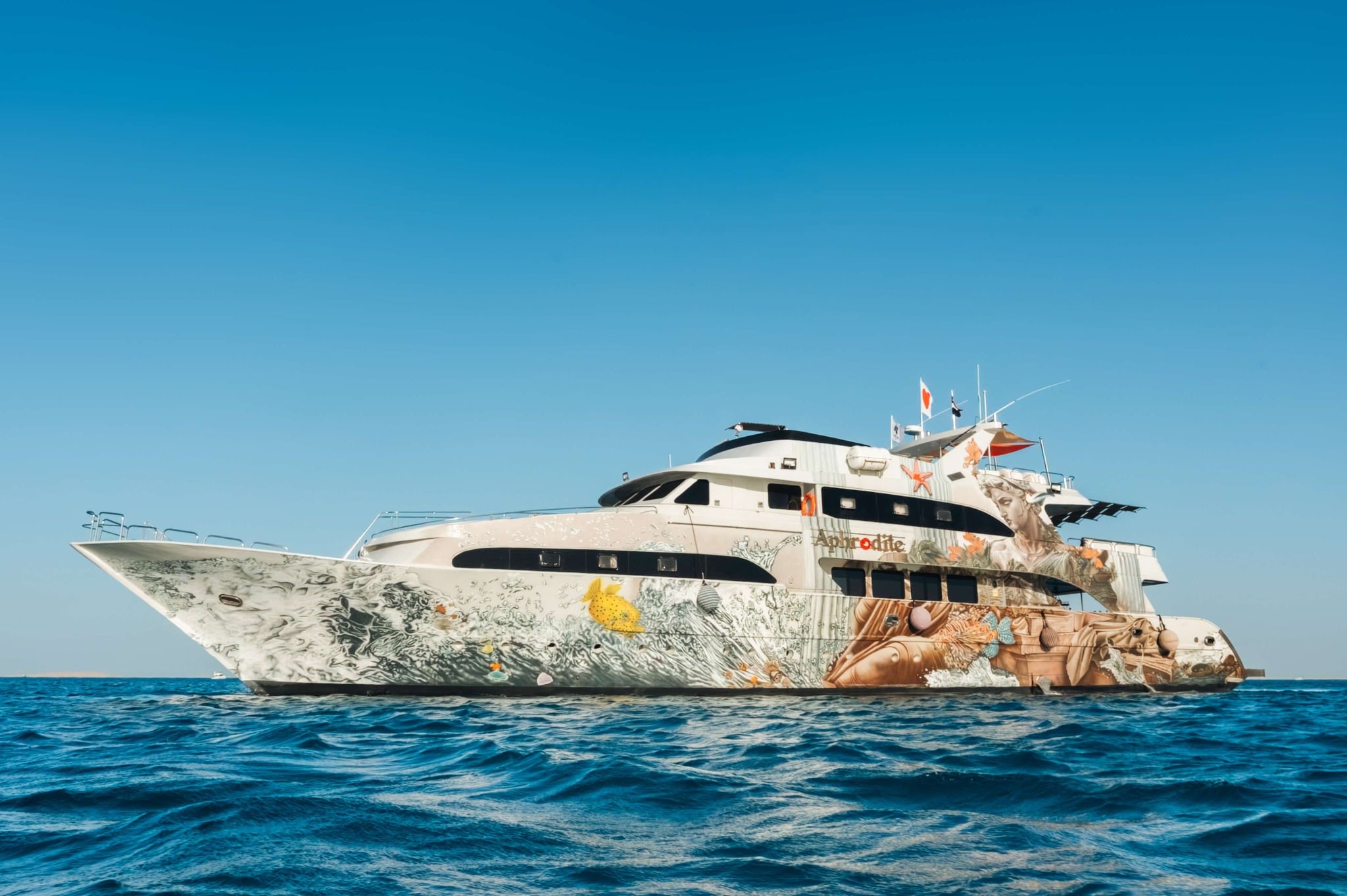 Aphrodite liveaboard explores Egypt’s southern Red Sea, diving Elphinstone and Daedalus, where hammerheads, oceanic whitetips, and healthy reef systems are often spotted