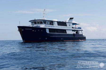 Raja Ampat Aggressor