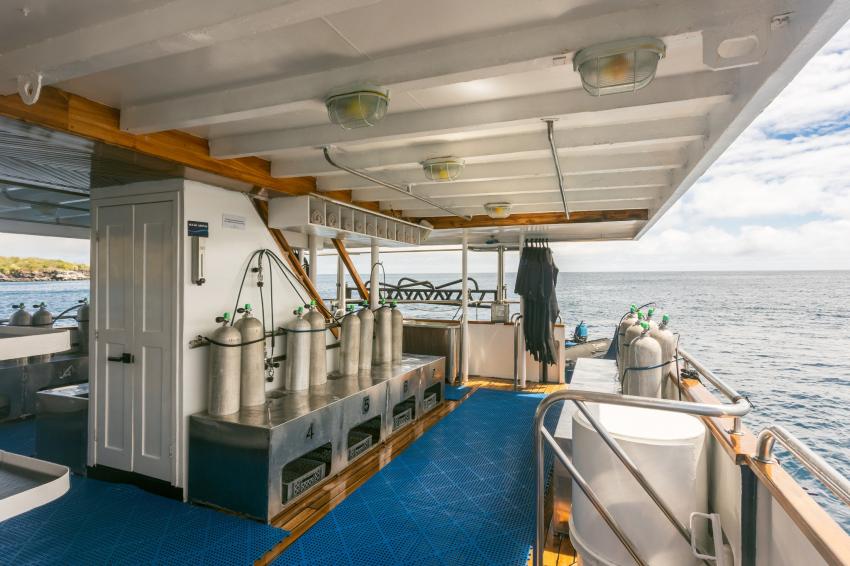 2025 Yacht Renovations