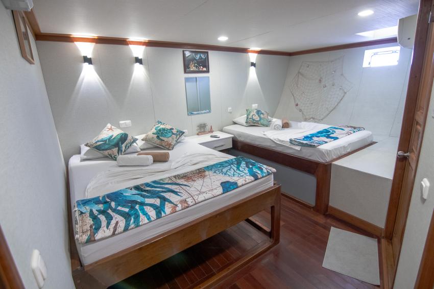 Spacious cabins made for dive days