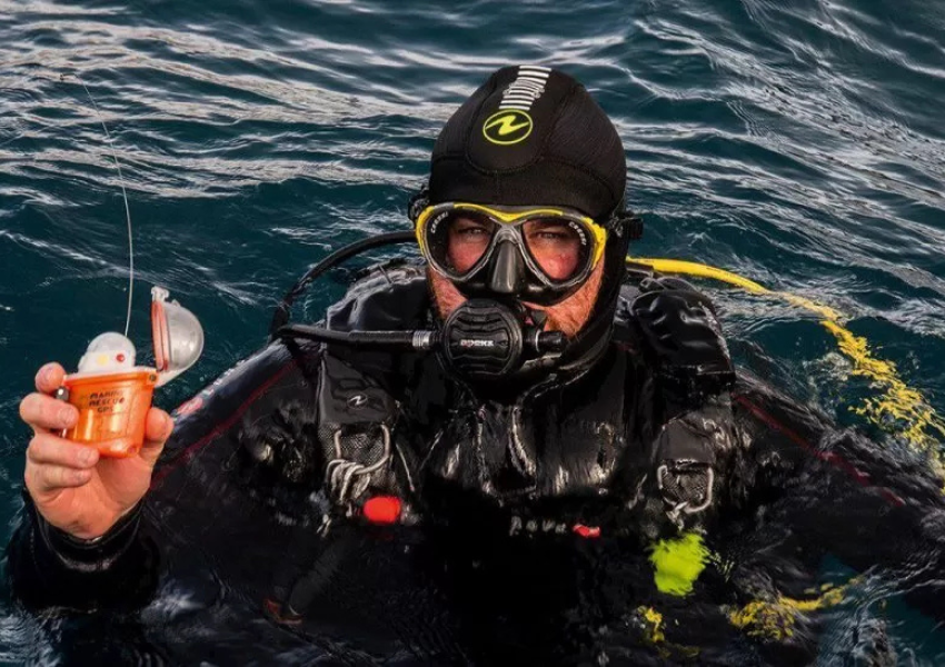 Safety: The Gold Standard