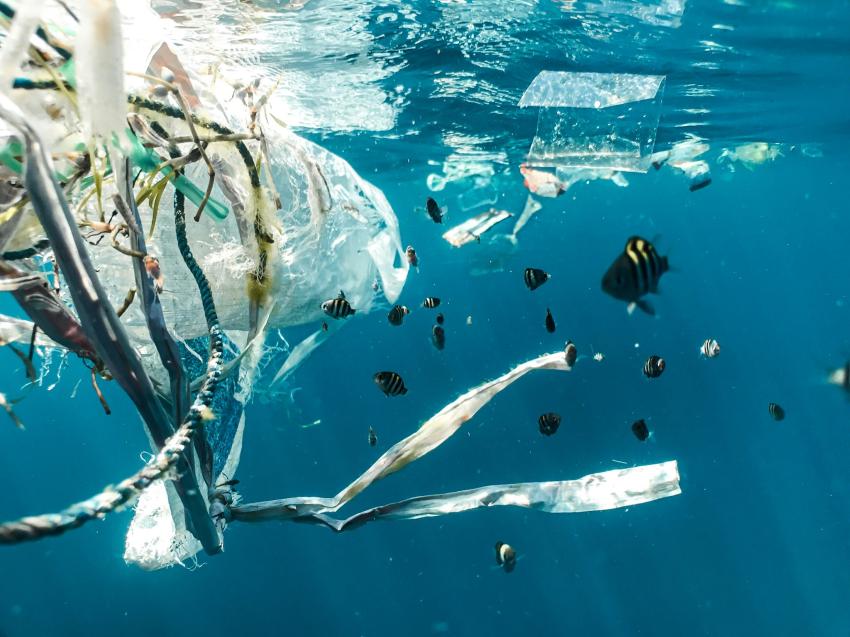 Sustainability in action