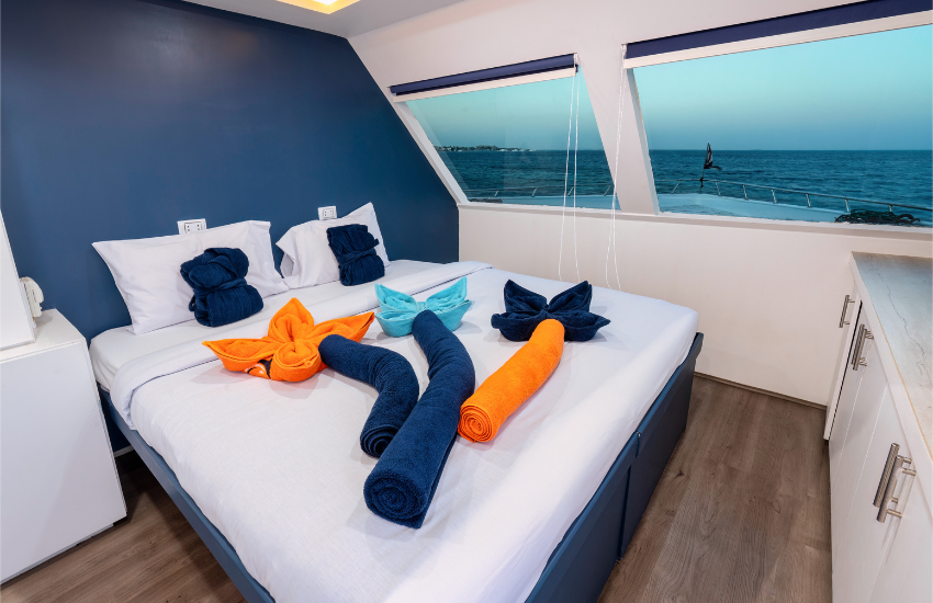 Flexible Cabin Layouts & Tailored Comfort