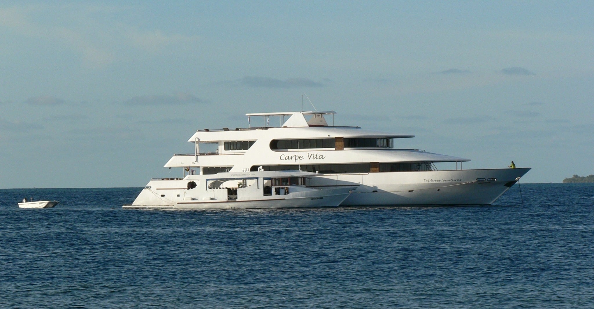 Experience luxury diving on MV Carpe Vita in the Maldives! Explore shark-rich sites, dive with mantas, and enjoy spacious cabins. Best deals & verified reviews. Book now!