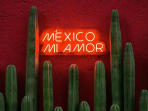 When to Dive in Mexico: A Seasonal Guide for Liveaboard Adventures