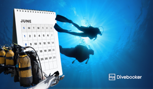 Where to Go Diving in June