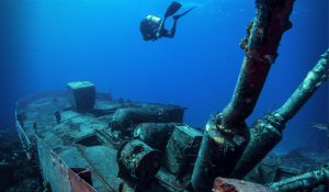 Scuba Diving in the Bahamas: The Ultimate Guide to Paradise