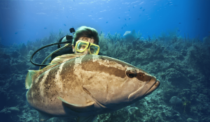 The Ultimate Guide to Nassau Scuba Diving (2026)