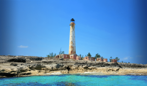 Bimini Scuba Diving: Sharks, Wrecks & Year‑Round Reefs
