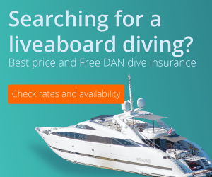 Divebooker Specials
